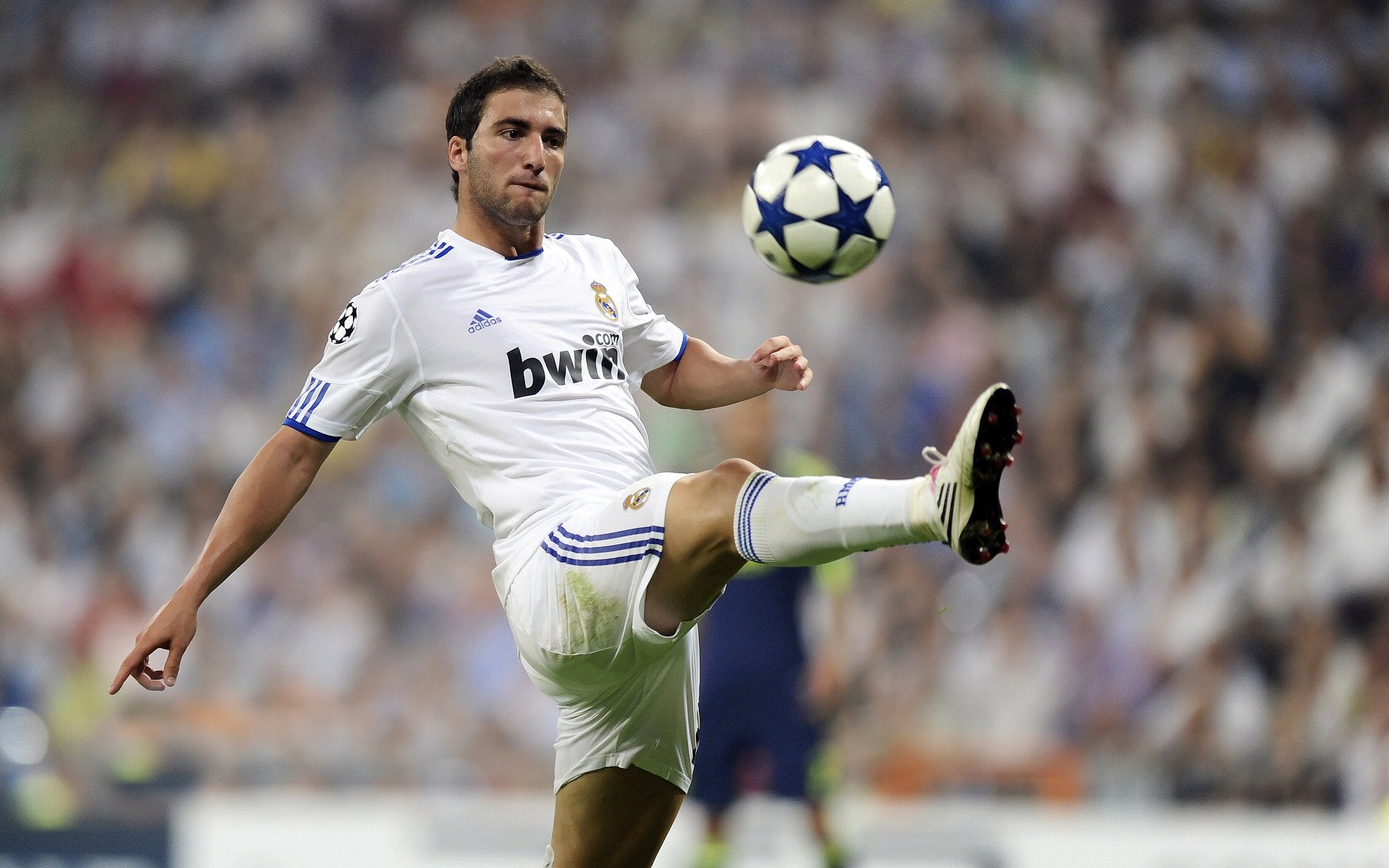 塔图姆连续十五场比赛得分突破纪录，澳大利亚队挑战极限！